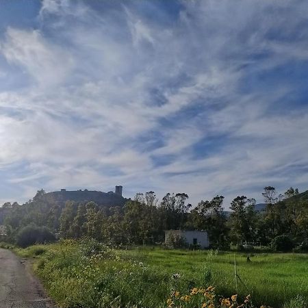博萨La Casa Sulla Piazza公寓 外观 照片