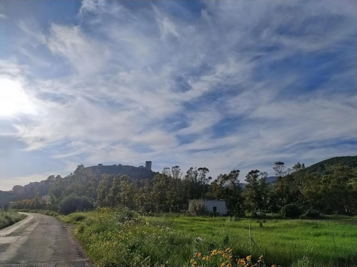 博萨La Casa Sulla Piazza公寓 外观 照片